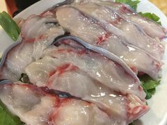 -金砂阿洲鱼册店