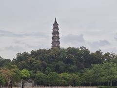 -顺峰山公园