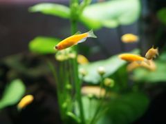 -昆明大悦城未来动物城(螺蛳湾中心店)