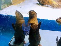 -华夏文旅海洋公园