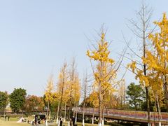 -府河摄影公园
