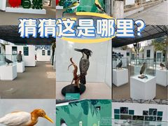 -陕西自然博物馆