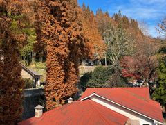 -莫干山风景区