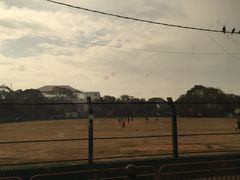 -尼甘布海鲜市场