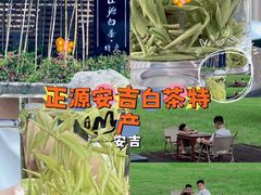 -正源安吉白茶特产享购商场(安吉店)