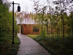 -黄海国家森林公园