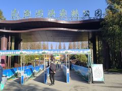 -黄海国家森林公园