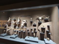 -大庆市博物馆