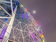 -巨鹏飞梦幻海岸