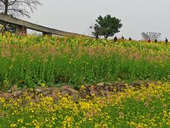 -三圣花乡旅游区