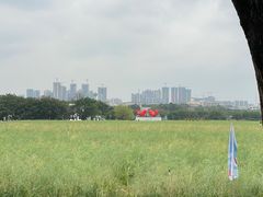 -光明小镇欢乐田园