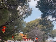 -太子山公园(园东路)