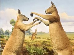 -陕西自然博物馆