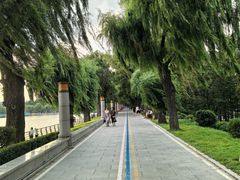 -长春市南湖公园