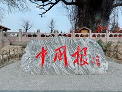 -大槐树寻根祭祖园