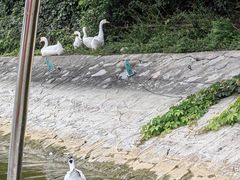 -西安汉城湖景区