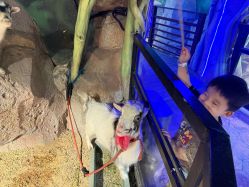 -酷嗒动物文化乐园(cutezoo西溪乐天城店)