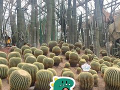 -南山植物园