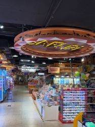 -卡通尼·Safari非洲探索乐园·生日会(金桥国际商业广场店)