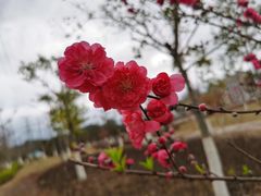 -梁野山景区