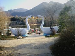 -西安秦岭野生动物园