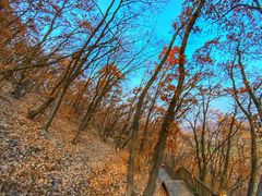 -帽儿山国家森林公园