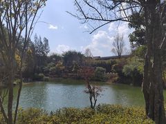 -和顺柏联温泉