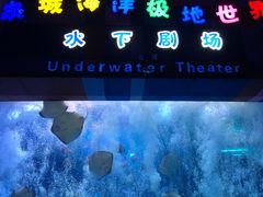 -泉城欧乐堡海洋极地世界