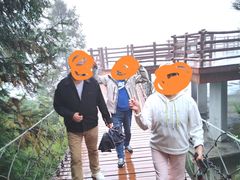 -紫鹊界梯田景区