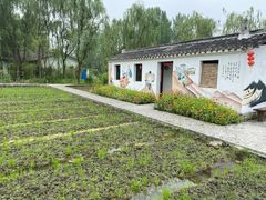 -溱湖国家湿地公园