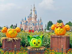 -上海迪士尼度假区