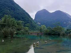 -靖西鹅泉风景区
