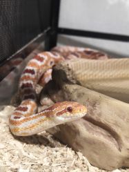 -Zoolung Zoolung动物主题公园(海信广场店)