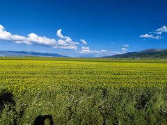 -青海湖国家重点风景名胜区