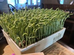 活豆苗-湊湊火锅·茶憩(上海合生汇店)