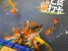 -昆明大悦城未来动物城(螺蛳湾中心店)