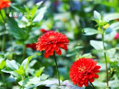 -吉林大学(南岭校区)