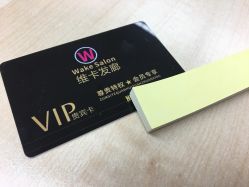 -维卡 Salon