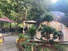 -张鸟园农家乐(张鸟园店)