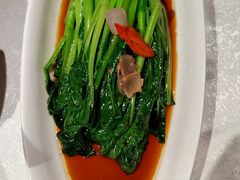 -金美华轩(东方路齐鲁店)