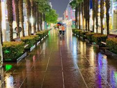 -沙洲路步行街(长安南路店)