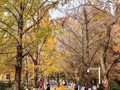 -八大关景区