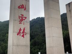 -铁山坪森林公园