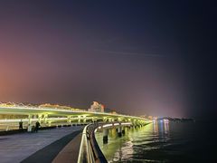 -演武大桥观景平台