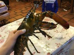 清蒸龙虾-花乐餐厅(涠洲岛店)