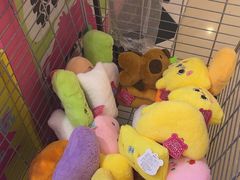 -JOY MARK(凯德晶萃店)