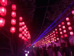 -印象普陀
