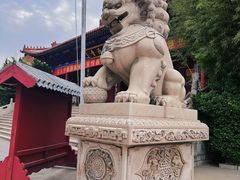 -大槐树寻根祭祖园