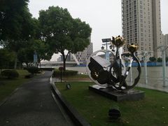-陈家山荷花公园