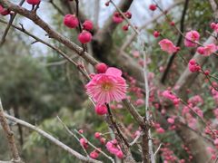 -径山寺